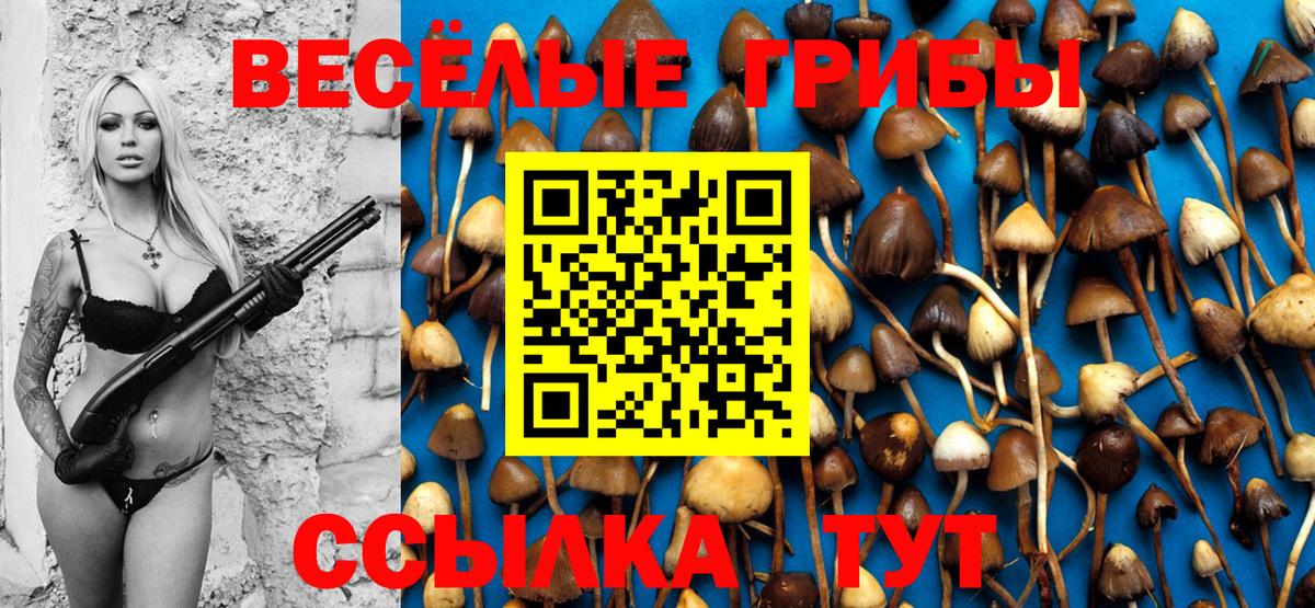 Галлюциногенные грибы Cubensis  Вход с VPN  Галлюциногенные грибы мухоморы  Оренбург 