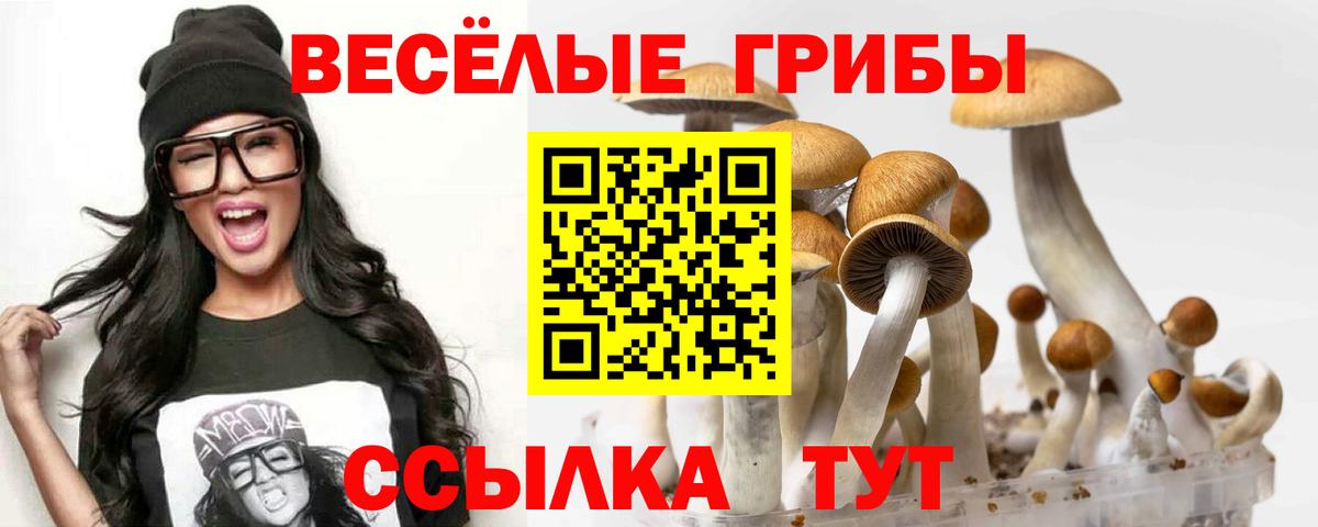 Псилоцибиновые грибы GOLDEN TEACHER Оренбург